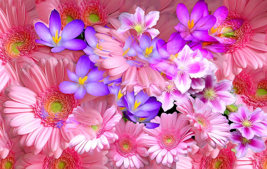 1003628 (a): :1920x1215